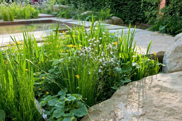 Ein ökologischer Garten wildbienen
