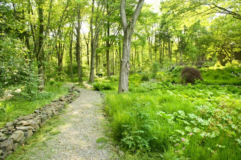 Ein ökologischer Garten wildbienen